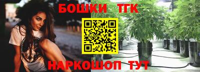 молекула духа Волжский