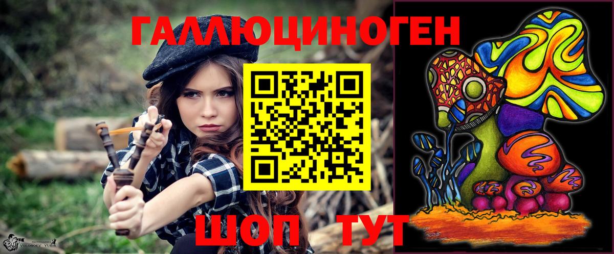 хочу   Галлюциногенные грибы Psilocybe  Вход с VPN  Горячий Ключ 