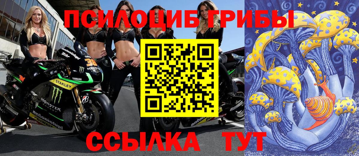 Галлюциногенные грибы ЛСД  Горячий Ключ  Псилоцибиновые грибы GOLDEN TEACHER 