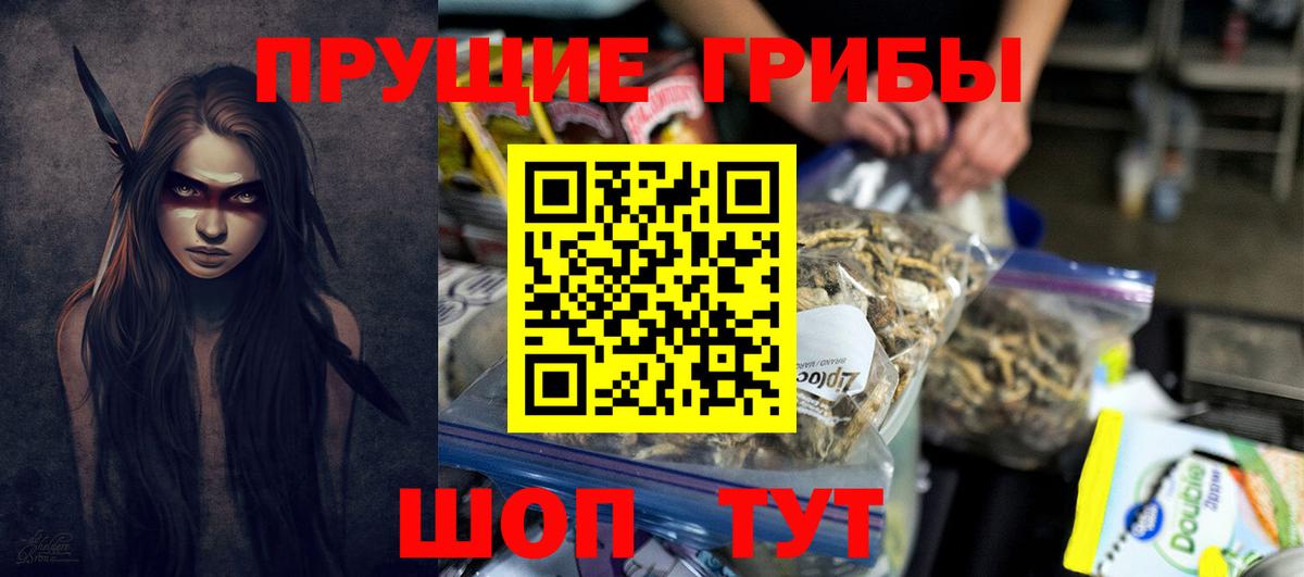Галлюциногенные грибы Psilocybine cubensis Горячий Ключ